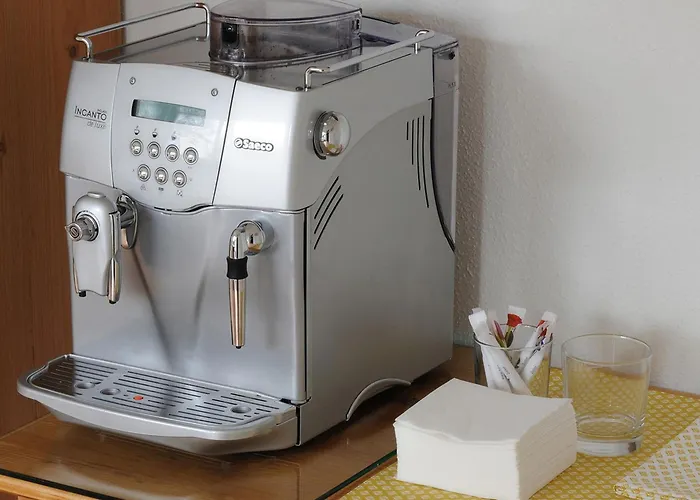 Tatil Evi Sunny Gengenbach